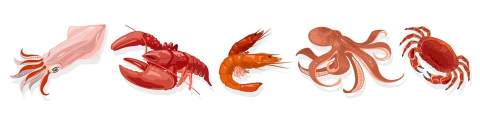 Vector set with cooked marine animals, products squid, lobster, shrimp, octopus, crab. Boiled or steamed seafood. Dainty, delicacy for gourmet. Collection isolated on white background.