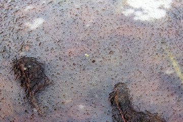 Zugefrorener Teich im Februar