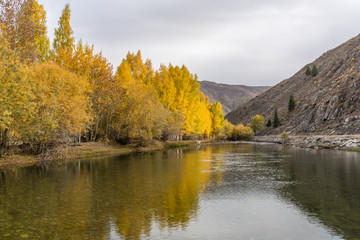 autumn landscape with lake and trees