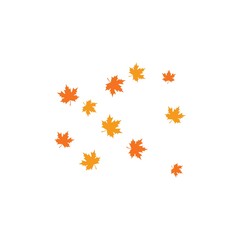 autumn leaf background illustration