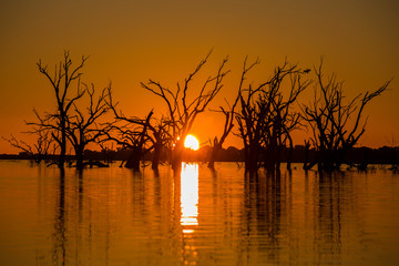 Dramatic golden sunset at the Menindee Lakes in outback New South Wales, Australia.