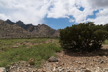Florida Mountains backcountry, southwest New Mexico.