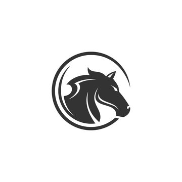 Black Horse head logo design,vector illustration isolated on white background