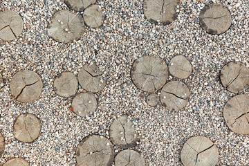 background of sawn circles of a tree among stone gravel