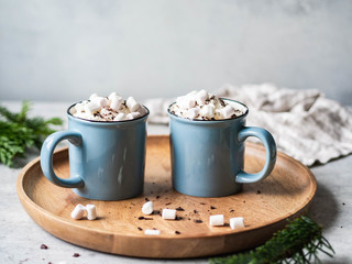 Two blue mugs with hot chocolate, whipped cream, chocolate chips on a wooden tray on gray background. Copy space