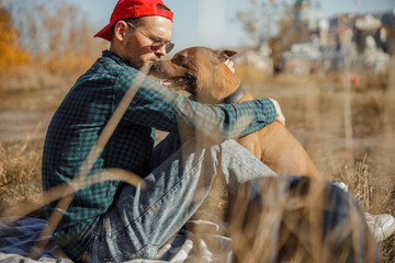 Owner taking care of dog and spending time with him stock photo