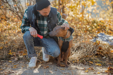 Man sitting with pet toy near the dog stock photo