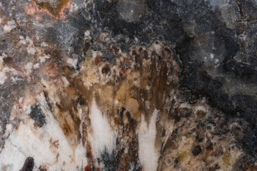 Jasper of many shades macro photo.