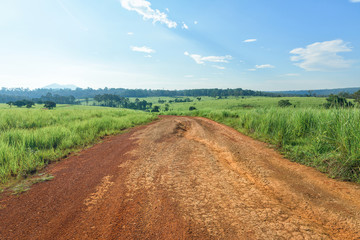 Dirt road with the meadow in countryside