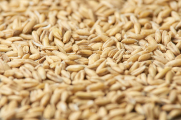 Raw porridge. Grains of cereals. Neutral light background