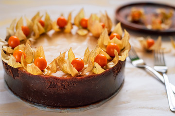 freshly baked, whole New York cheesecake garnished with physalis on a colorful background
