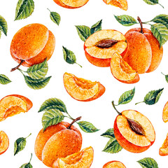 Watercolor Apricot. Botanical watercolor hand drawn illustration. Apricot. Watercolor fruits. Seamless pattern