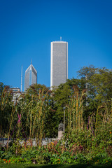 Art on the Farm Urban Agriculture Potager Kitchen garden, Grant Park, Chicago, Illinois, USA