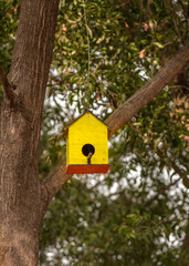 Pigeon/ Dove wooden House Hanging on a tree.
