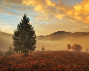 autumn morning. Dawn in the Carpathian mountains. foggy autumn sunrise