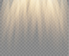 Spotlight isolated on transparent background. Vector gold rays and beams. Vector warm light effect