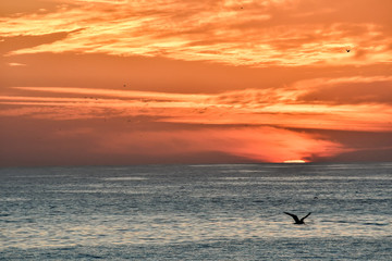 sunset over sea, photo as background