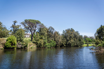 Fototapeta na wymiar Parramatta river in the Parramatta Park and the Old Government House in distance, western suburb of Parramatta, Sydney, Australia