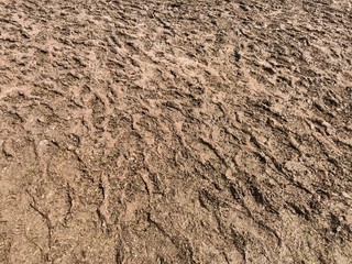 Wide shot of textures and patterns in a muddy ground