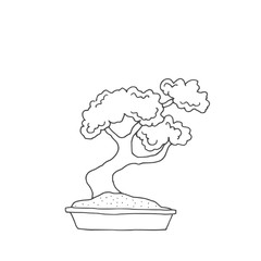 Line art sketch japan Japanese social media instagram bonsai tree