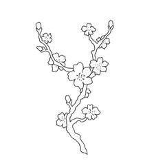 Line art sketch japan Japanese social media instagram sakura 