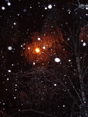 Lantern light through the ice crusted branches of trees and large flakes of snow