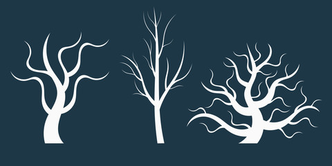 Silhouette winter naked tree without leaves.