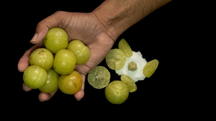 Indian gooseberry fruit on single hand