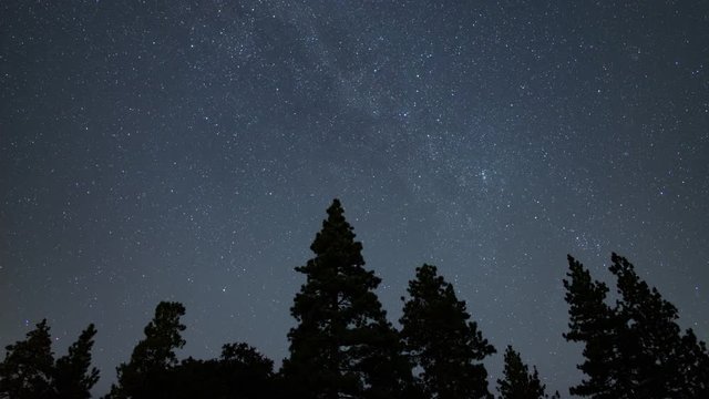 Summer Milky Way Galaxy 24mm Northwest Starry Sky Above Pine Forest Time Lapse