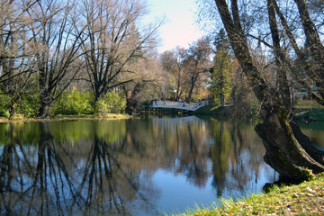 Fototapeta na wymiar Park pond in the estate of Pushkin.