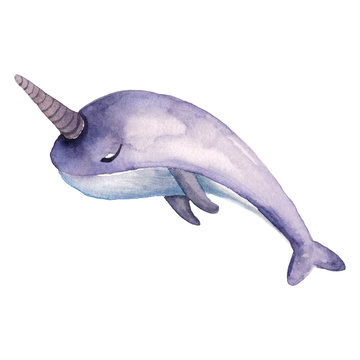 Cute watercolor cartoon illustration of a gray-violet narwhal with a horn for children's design of fabrics, cards, posters, stickers. Hand drawn isolated on a white background.