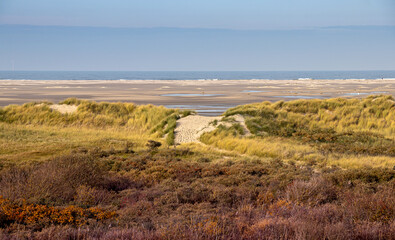 Dünen auf Borkum, Reise Insel Nordsee Deutschland