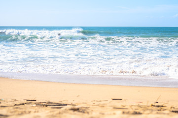 Surfen in Costa Capparica