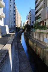 ビルの間を流れる渋谷川