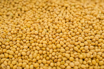 Fresh soybean seeds pattern close-up.