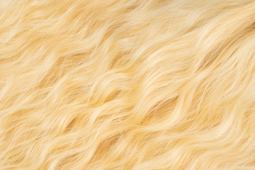 Blond wavy hair pattern. Top view.