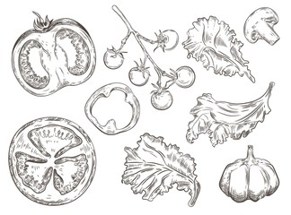 Set of vintage images of vegetables. Pepper rings, tomatoes, mushrooms, lettuce, garlic.