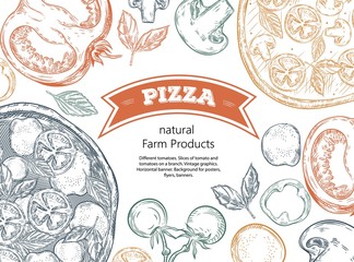 Different tomatoes. Slices of tomato and tomatoes on a branch. Vintage graphics. Horizontal banner.