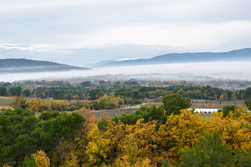 Panorámica de un bosque francés con una montaña de fondo con niebla