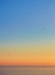 Silhouette of powered paraglider soaring flight over the sea against marvellous orange sunset sky.