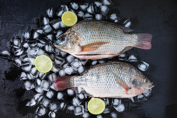 .Fresh fish of tilapia on ice with lemon paste.