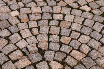 Texture of paved stone lined in a semicircle.