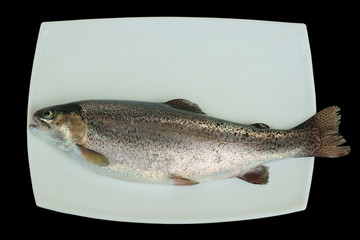 Raw rainbow trout fish on a white porcelain plate