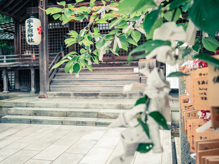 Paysage japonais traditionnel dans les rues de kanazawa, au Japon