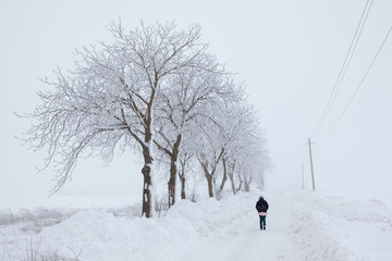 one girl walking on the winter road