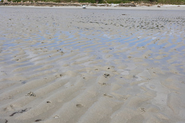 Ebb at the coast, sand and shallow water, coast in the background