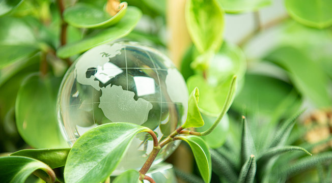 Green Earth Concept Glass Sphere