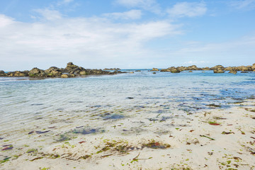 Colourful beach in Brittany with rocks and seaweed, relaxing summer holiday feeling