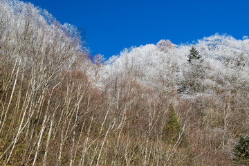 Fototapeta premium hirayu onsen snow