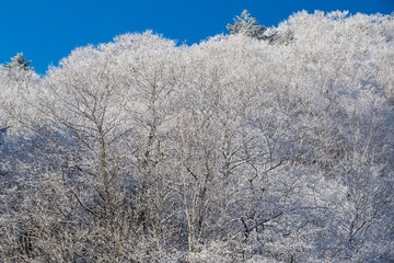 hirayu onsen snow